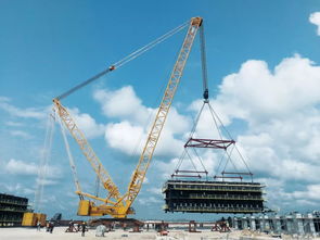 徐工 國產大吊車,僅出口三臺,其中兩臺在這里