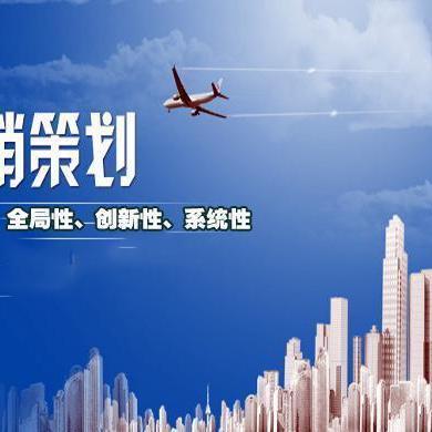 營(yíng)銷(xiāo)策劃 制勝市場(chǎng)的藍(lán)圖與引擎